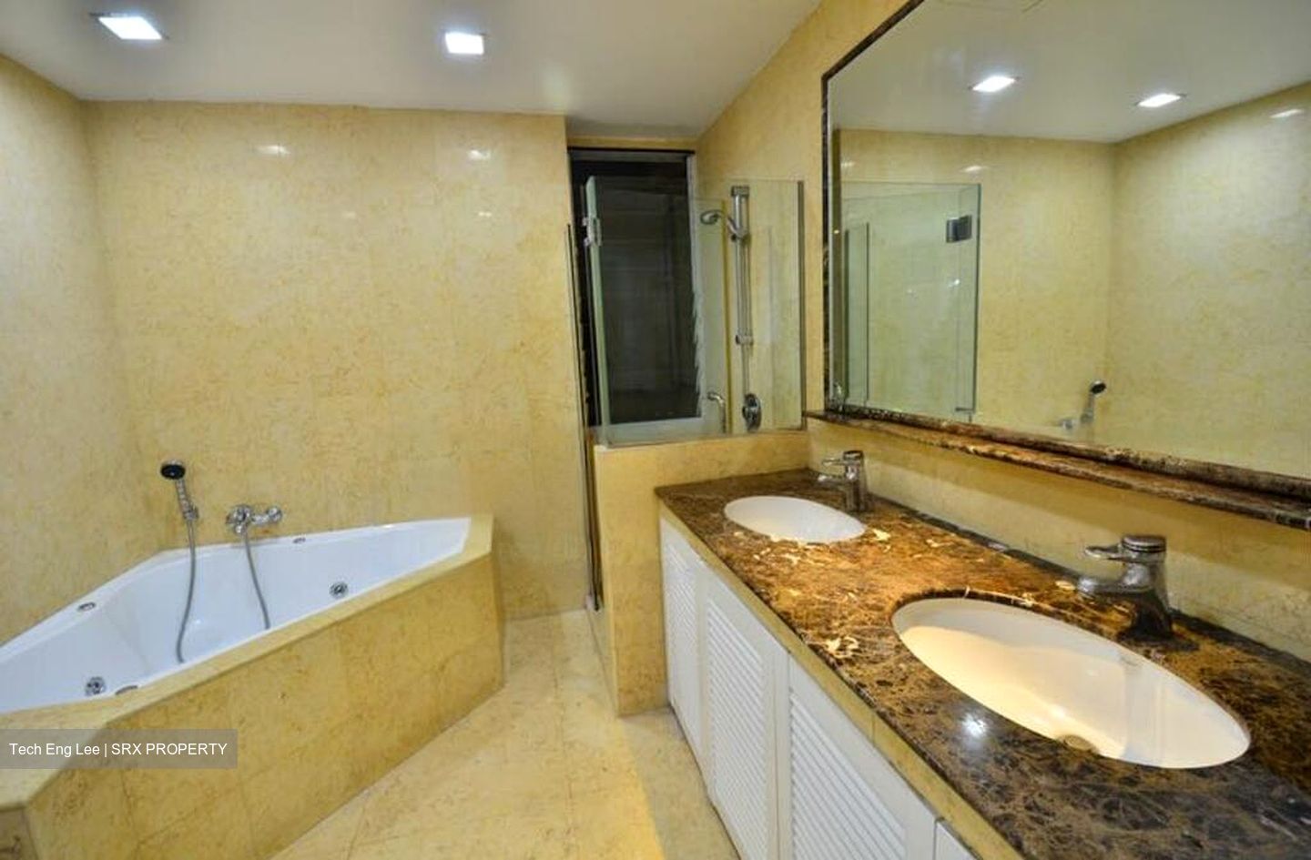 Regency Park (D10), Condominium #519050651
